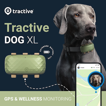 Tractive gps deals dog tracker