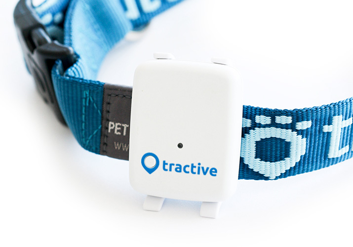 Tractive-Dog-Collar-GPS-Tracker.jpg