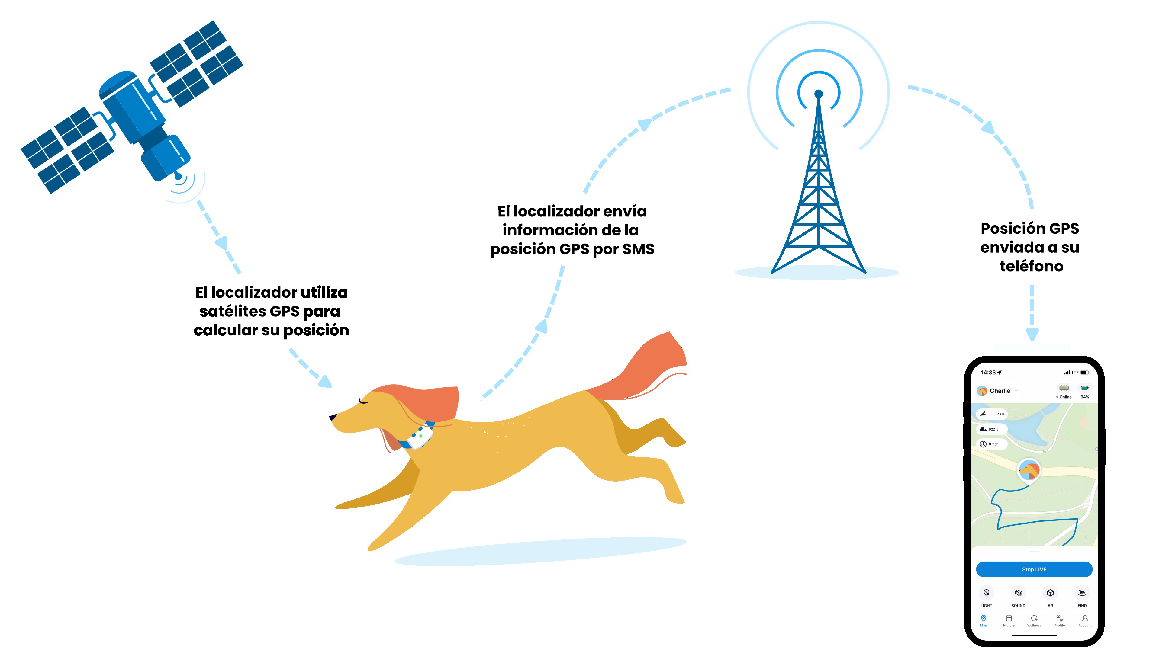 Chip GPS para perros subcutáneo: ¿mito o realidad? - Tractive