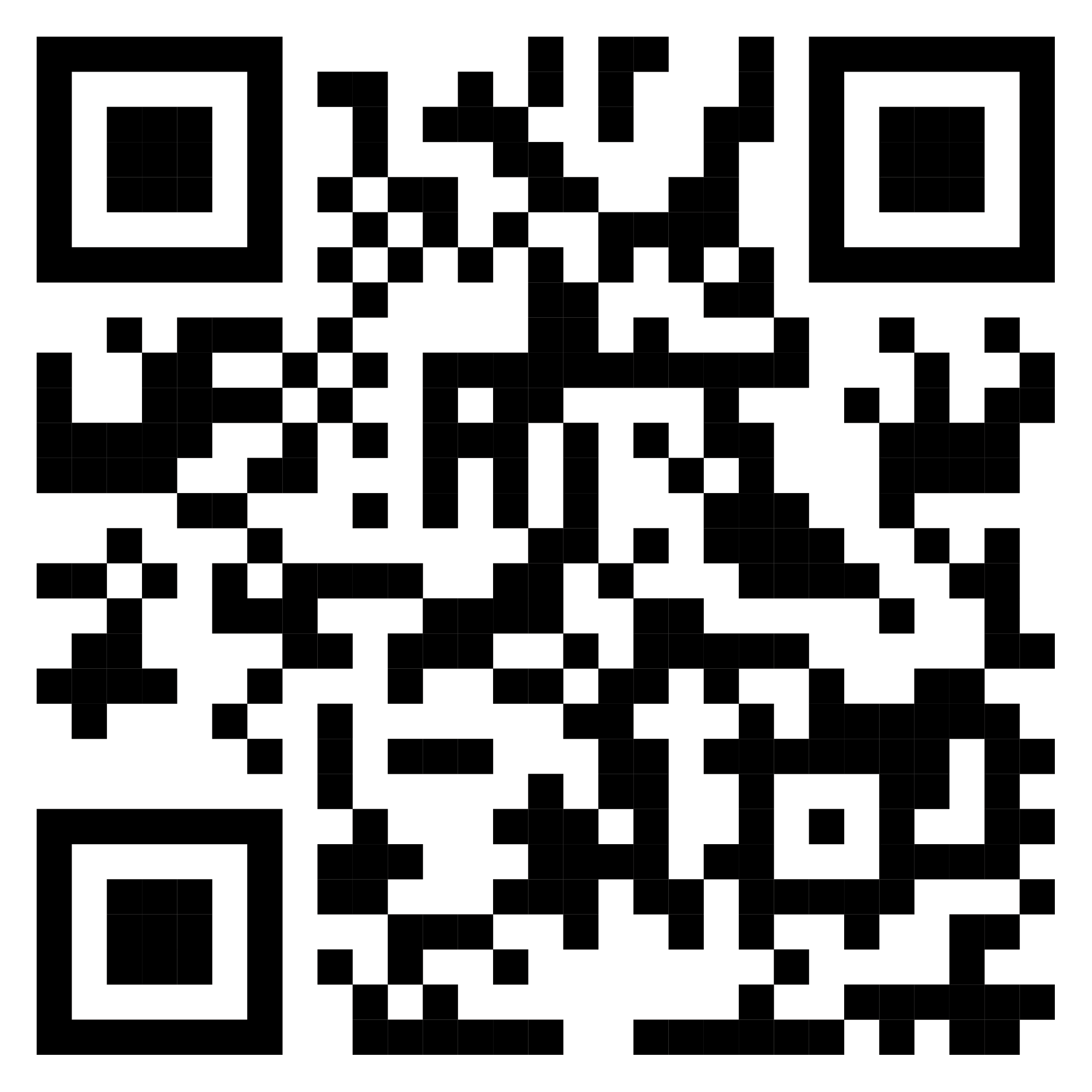 QR-TRDOG4XLRUG.png