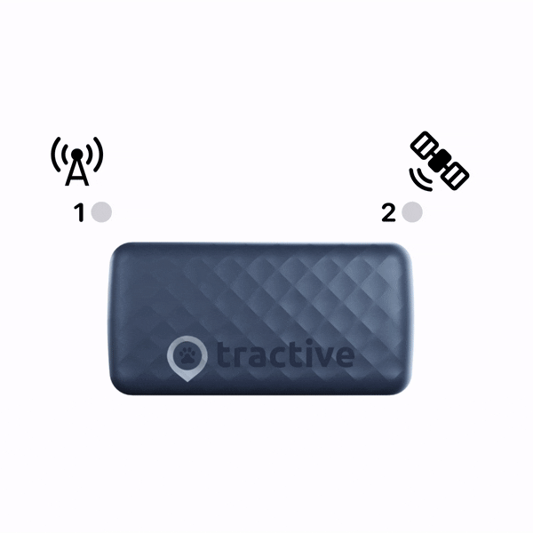 05_connection.gif