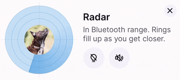 radarmode.gif
