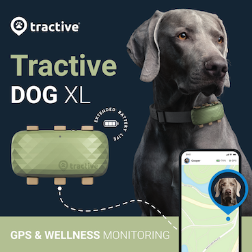 TRDOG4XLGR-frontpackaging.png