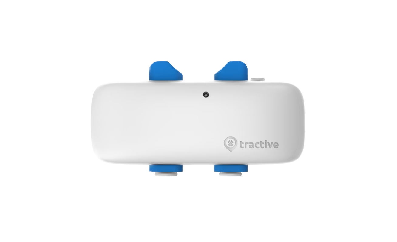 tractive-gps-tracker-dog-4-snow-front.png
