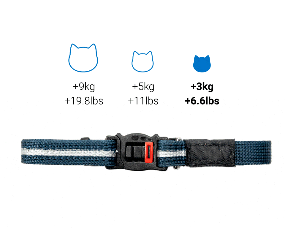 Minki_collar_adjustment.gif