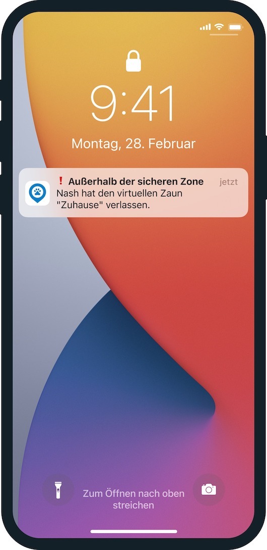 Group_4951_11zon.jpeg