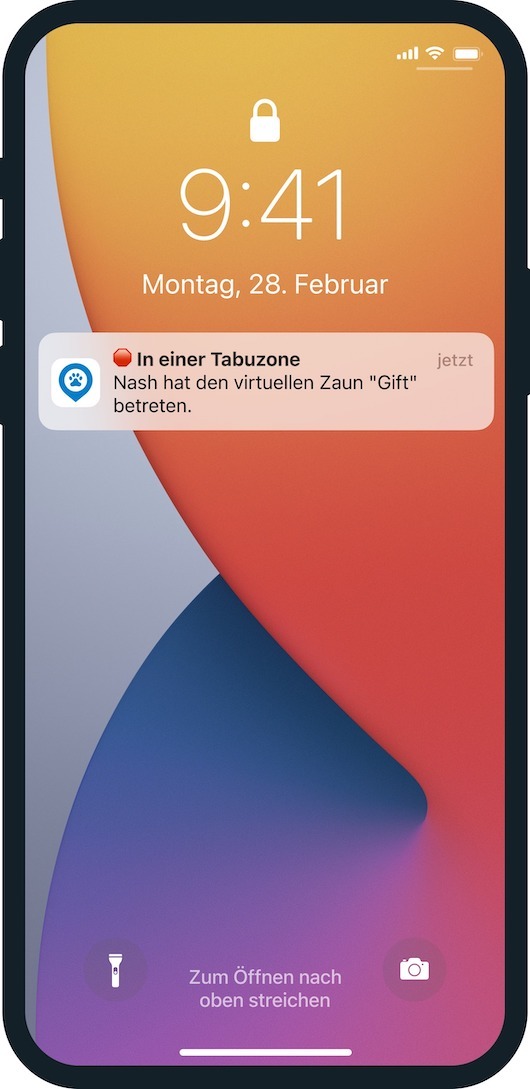 Group_4950_11zon.jpeg