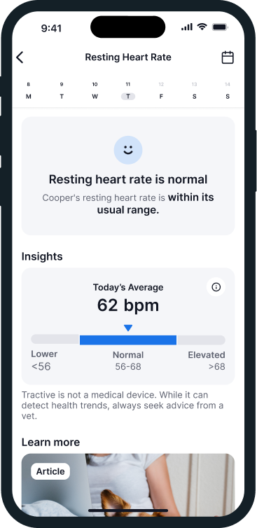 Tractive app screenshot showing resting heart rate at 62 bpm marked as normal, with insights displaying lower, normal, and elevated ranges