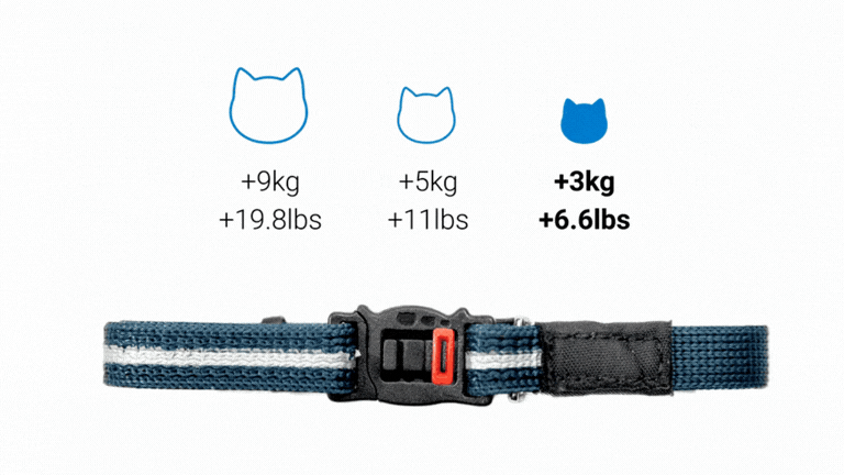 Collier Rogz pour CAT Mini montrant trois réglages d'ajustement du poids du mécanisme de sécurité détachable représentés par des silhouettes de chat : le réglage le plus élevé pour les chats de plus de 9 kg, le réglage moyen pour les chats de plus de 5 kg, et le réglage le plus bas pour les chats de plus de 3 kg, avec un collier réfléchissant bleu et un curseur de réglage rouge sur le fermoir.