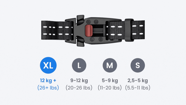 Chiusura a sgancio di sicurezza del collare integrato CAT 6 Mini con quattro impostazioni di regolazione del peso: XL per gatti da 12 kg in su, L per gatti da 9-12 kg, M per gatti da 5-9 kg e S per gatti da 2,5-5 kg, con cursore di regolazione rosso visibile sulla chiusura