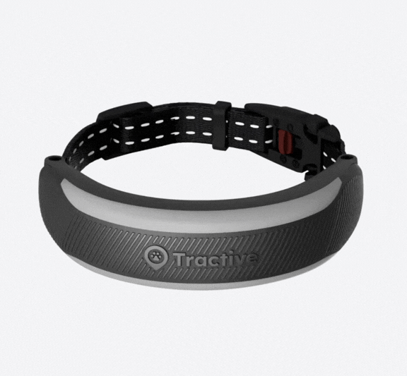 CAT 6 Mini tracker laadt op met magnetische oplader terwijl deze nog aan de kattenhalsband is bevestigd, waarbij de magnetische contactpunten zijn uitgelijnd