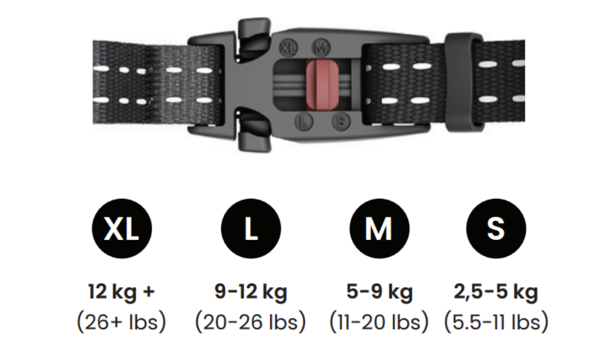 Fermoir de sécurité du collier CAT 6 Mini montrant quatre positions de réglage (XL, L, M, S) avec le curseur rouge et les plages de poids correspondantes
