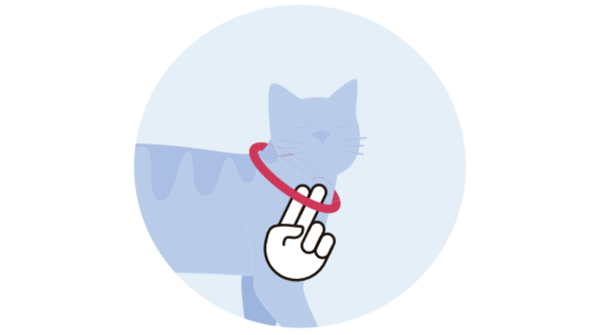 Illustration montrant deux doigts se glissant confortablement entre un collier de chat et le cou du chat, démontrant un ajustement correct du collier