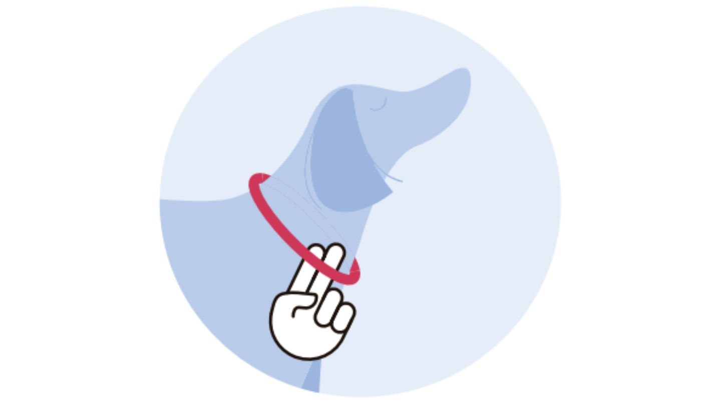 Illustration, die zeigt, wie zwei Finger bequem zwischen einem Hundehalsband und dem Hals des Hundes passen, was den richtigen Sitz des Halsbands demonstriert