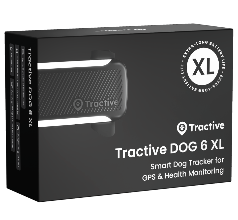 boîte d'emballage tractive-dog-6-xl.png