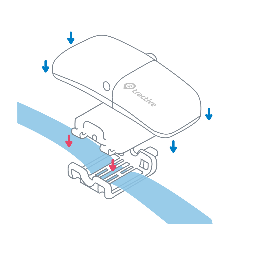 Ikati store cat tracker