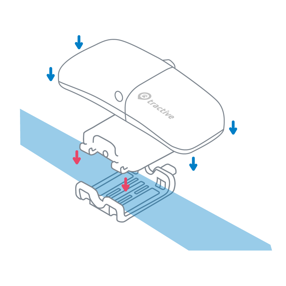 Tractive gps hot sale collar clips