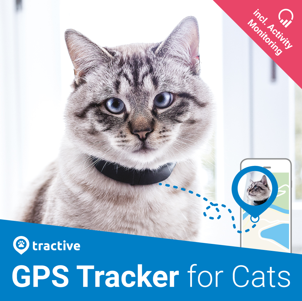 Tractive gps store tracker for cats