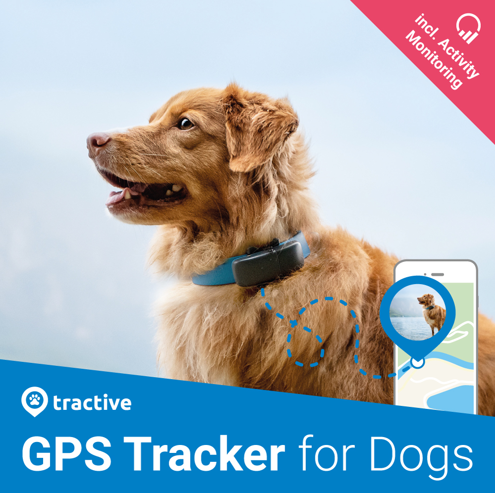 Help with GPS for pets API (Tractive GPS) : r/shortcuts