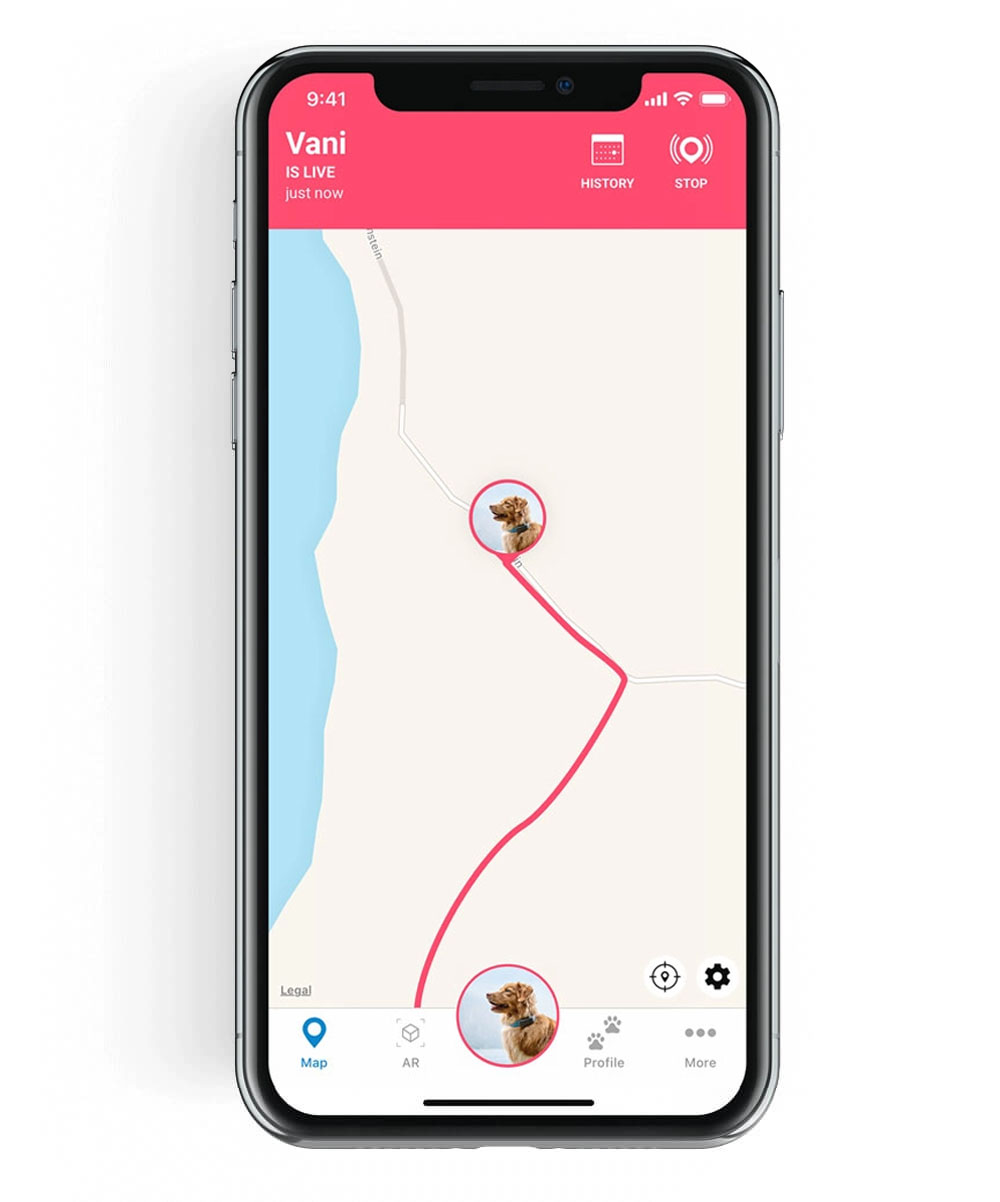 live gps tracker