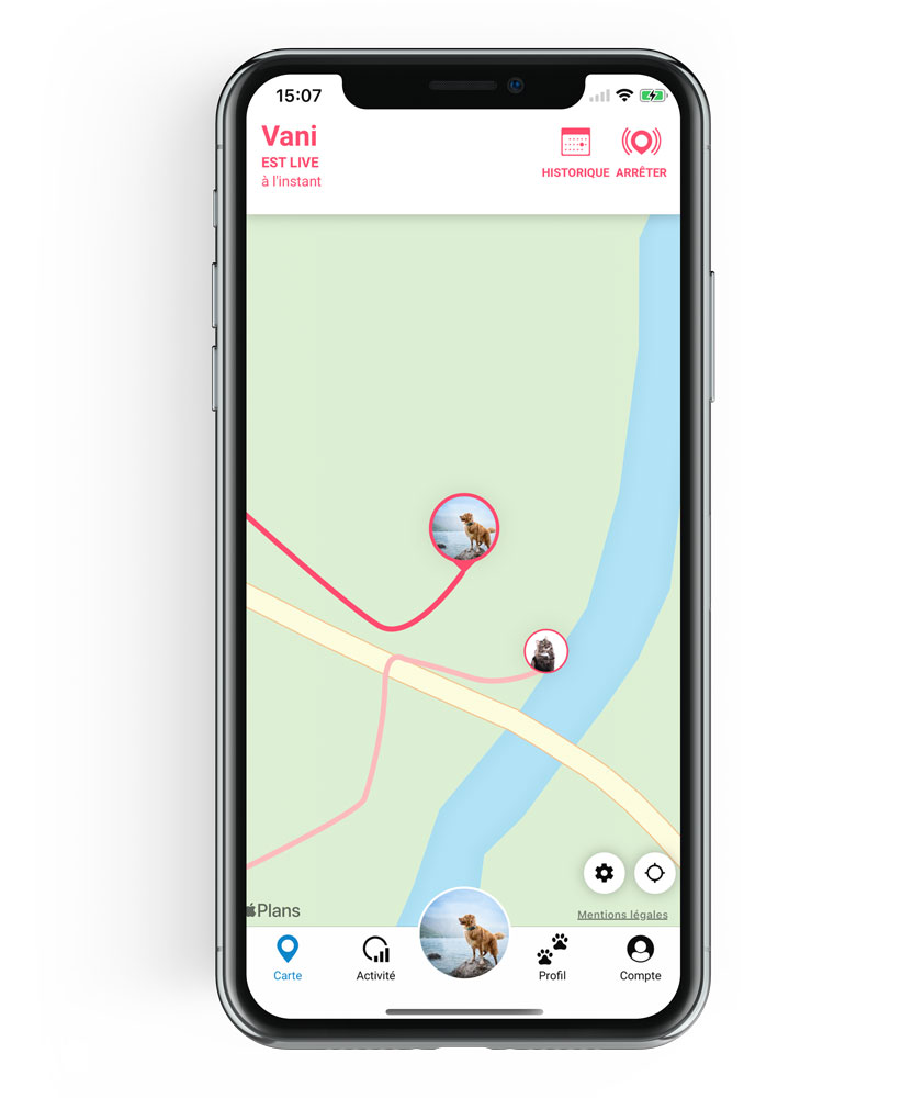 Puis Je Utiliser Le Traceur Tractive Gps Pour Plusieurs Chiens Ou Chats Tractive Help Center