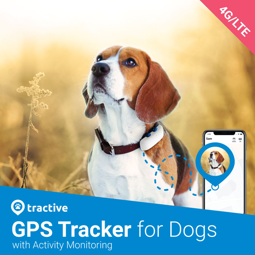 rastreador GPS tractive 9990 para gatos con collar Guía del usuario