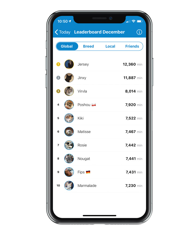 What are the different leaderboards? – Tractive Help Center