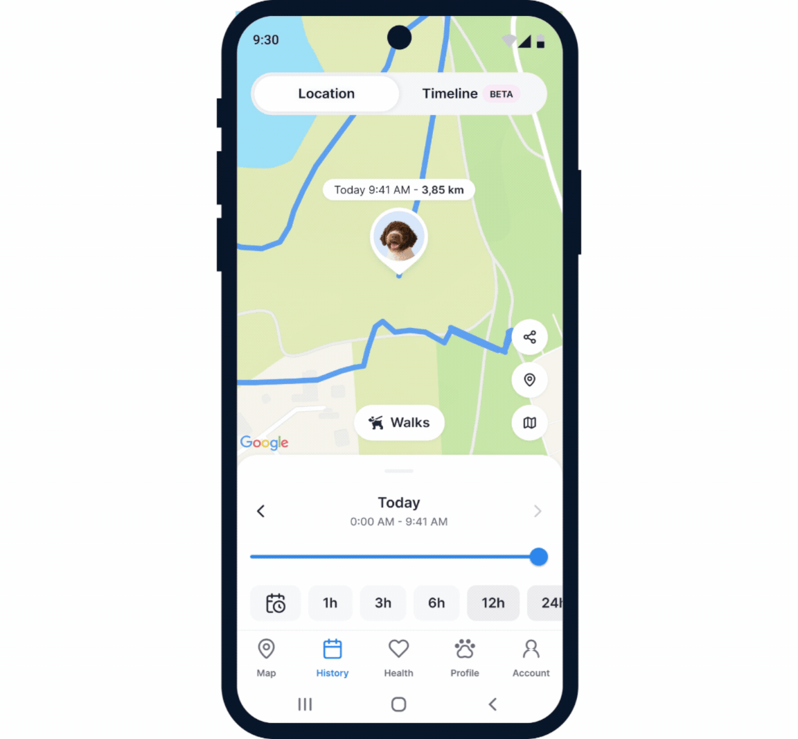 Territory screens, GIFs.gif
