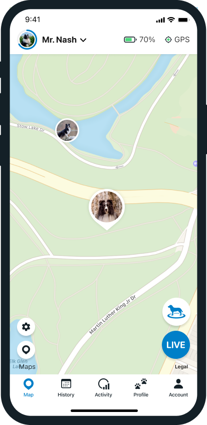 Tractive GPS for Cats and Dogs
