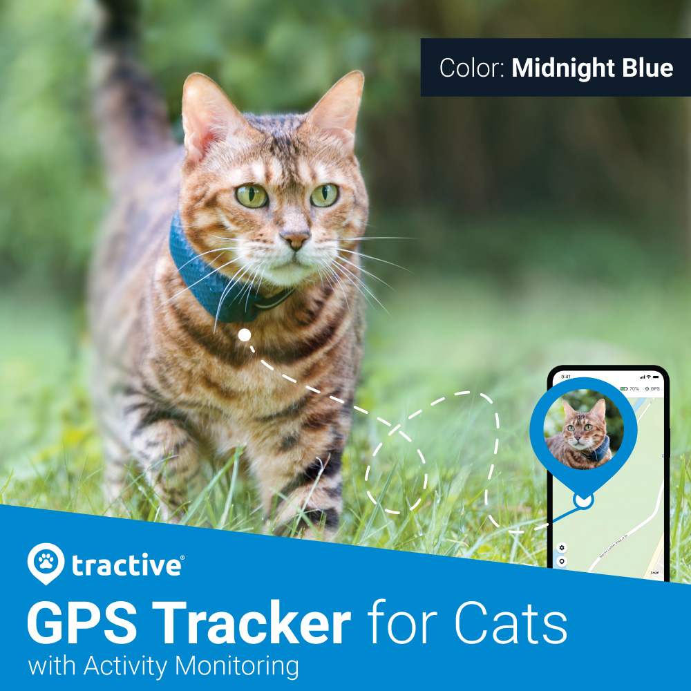 rastreador GPS tractive 9990 para gatos con collar Guía del usuario