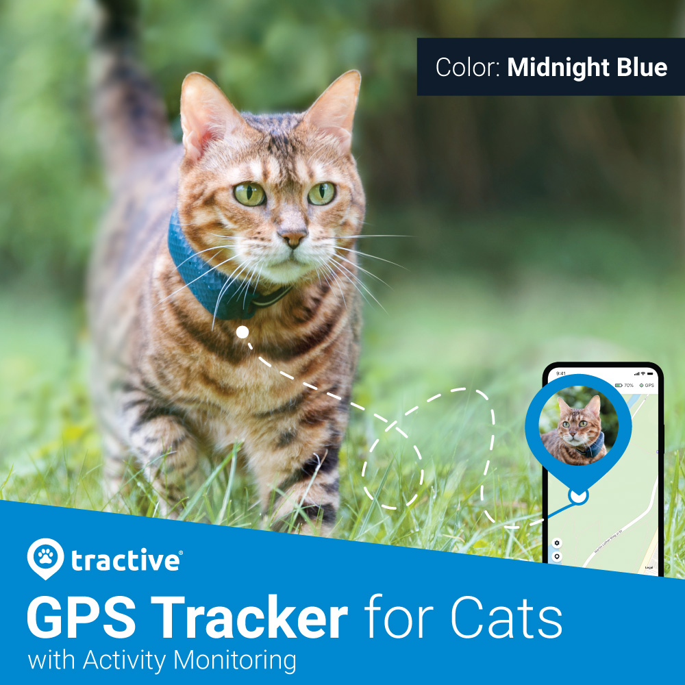 Specificitet dommer Centimeter Quick Start Guide: All Tractive GPS Trackers – Tractive Help Center