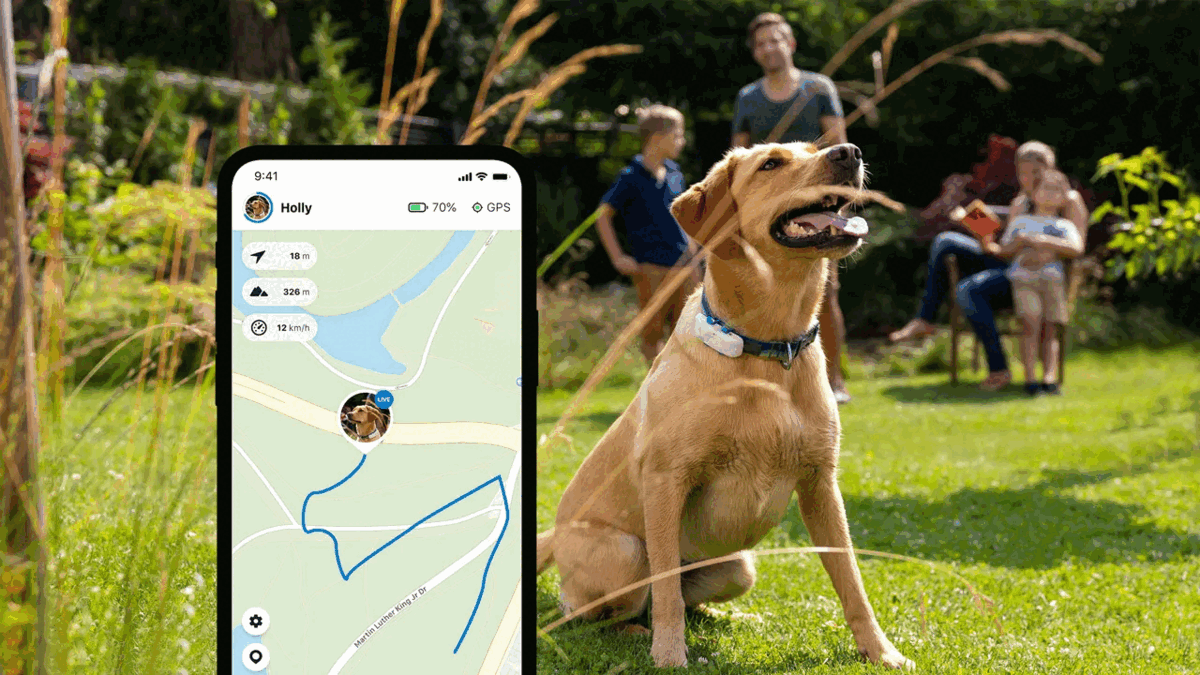 Tractive gps best sale tracker for dogs